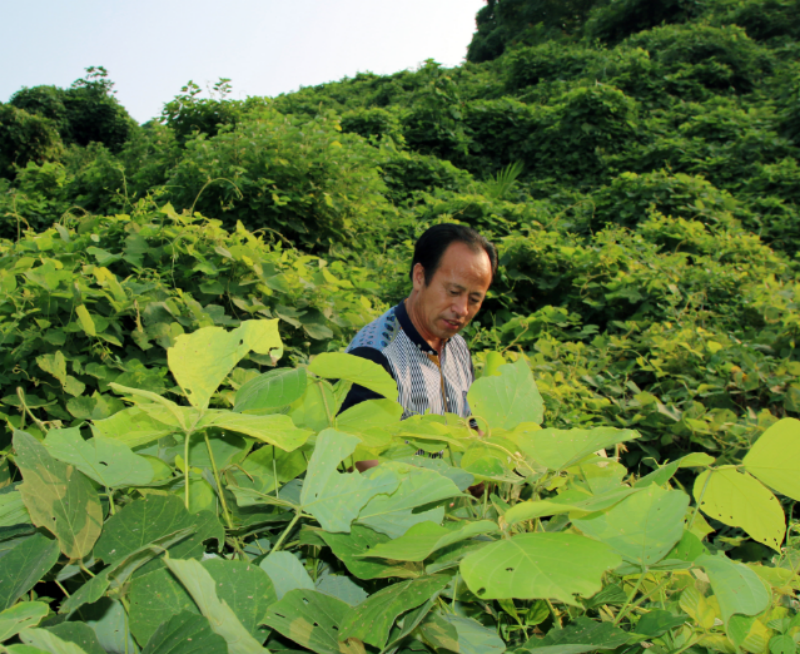 1752560589949449.png 基地.png