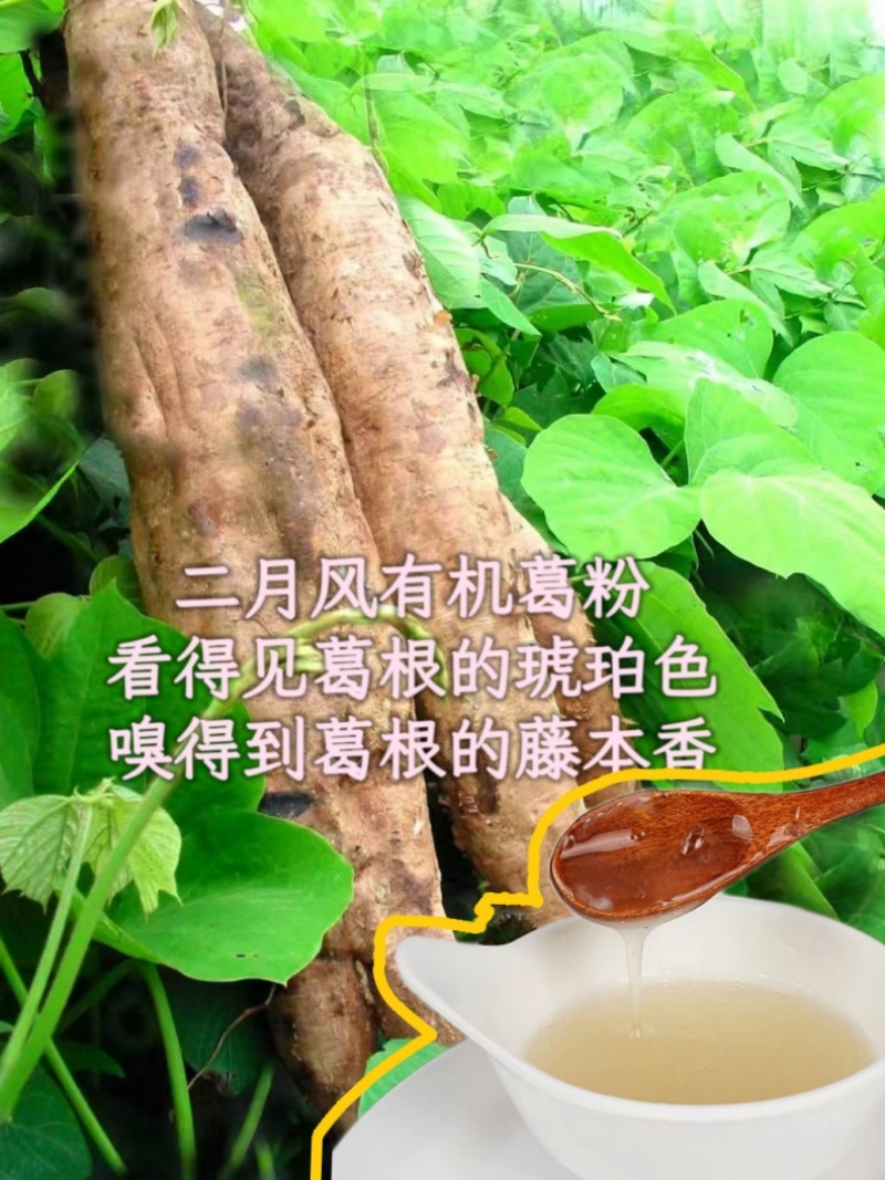 二月風(fēng)有機葛粉，看得見葛根的琥珀色，嗅得到葛根的藤本香_800.jpg