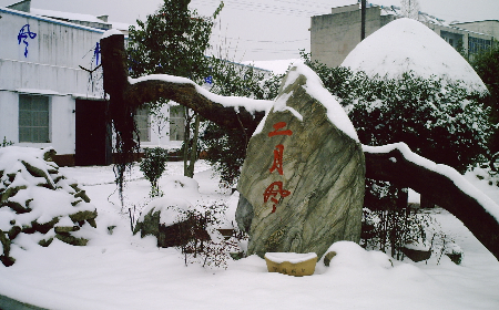 二月風(fēng)致老友：一碗葛根粉的牽掛，農(nóng)博會上的重逢之約二月風(fēng)盼老友：農(nóng)博會上，再續(xù)葛粉情緣