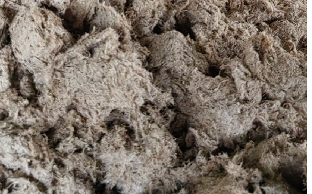 深入大洪山，只為一口純凈 -二月風(fēng)今冬野生葛根收購(gòu)紀(jì)實(shí)